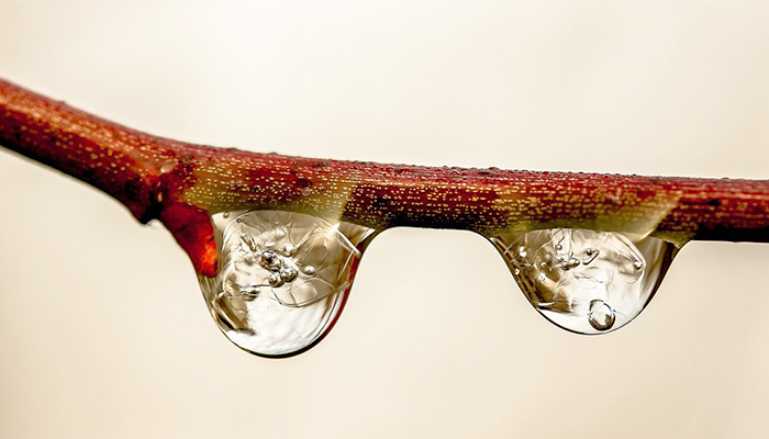 Riego gota Riego gota